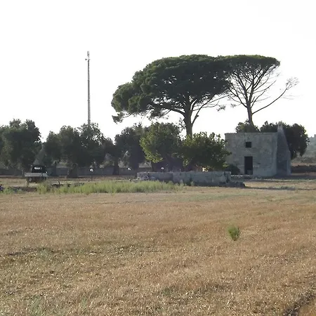 农家乐 Masseria Cricelli Lizzanello